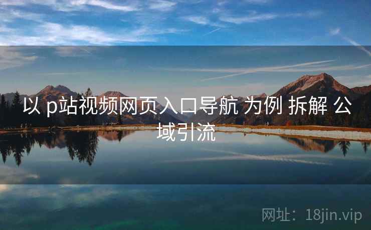 以 p站视频网页入口导航 为例 拆解 公域引流