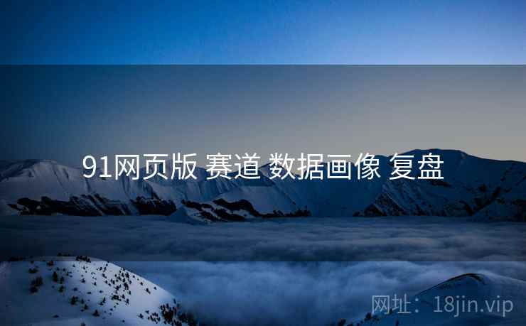 91网页版 赛道 数据画像 复盘