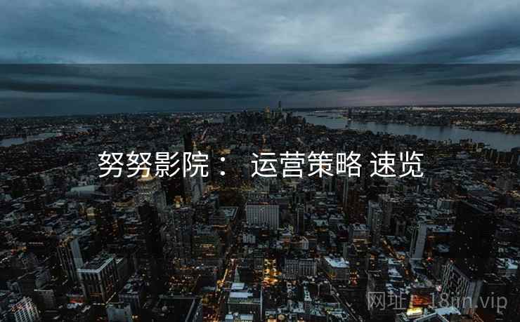 努努影院 ： 运营策略 速览