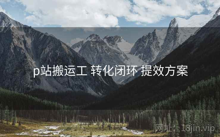 p站搬运工 转化闭环 提效方案