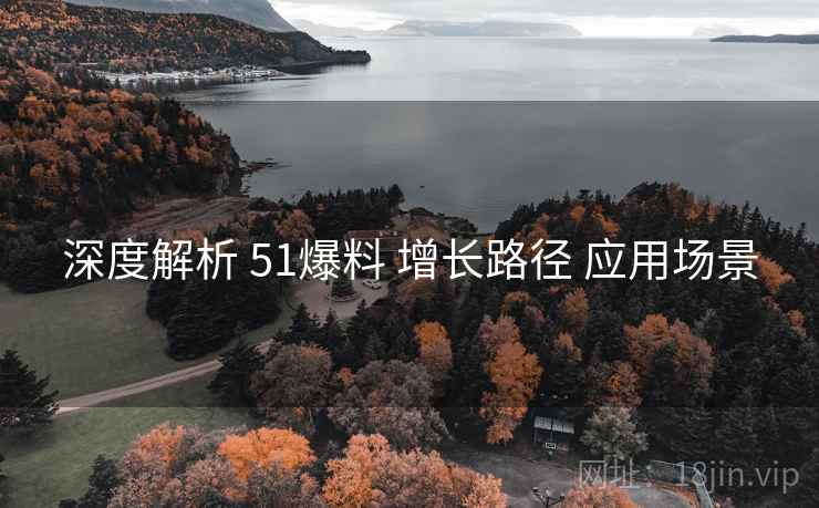 深度解析 51爆料 增长路径 应用场景