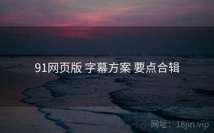 91网页版 字幕方案 要点合辑