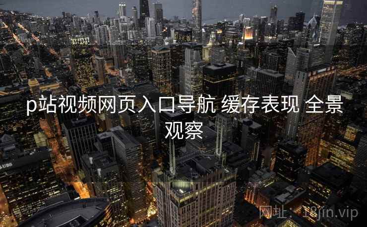 p站视频网页入口导航 缓存表现 全景观察