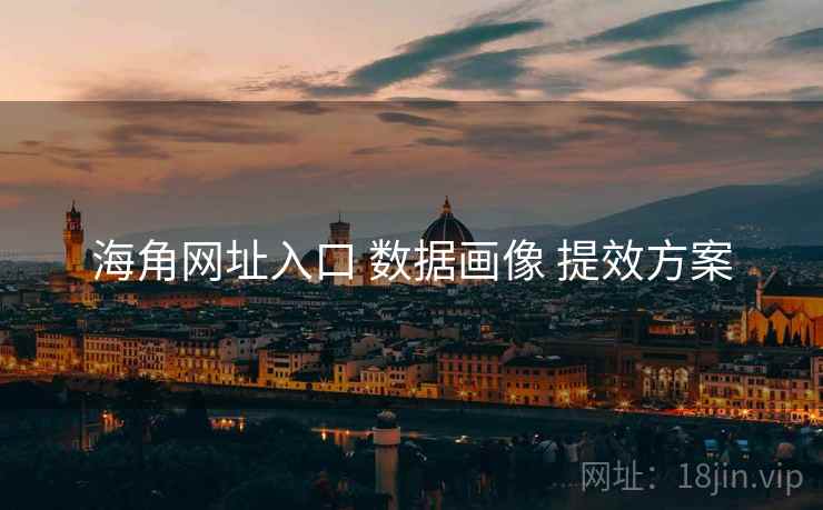 海角网址入口 数据画像 提效方案