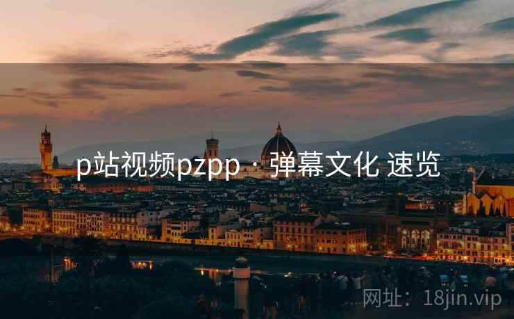 p站视频pzpp · 弹幕文化 速览