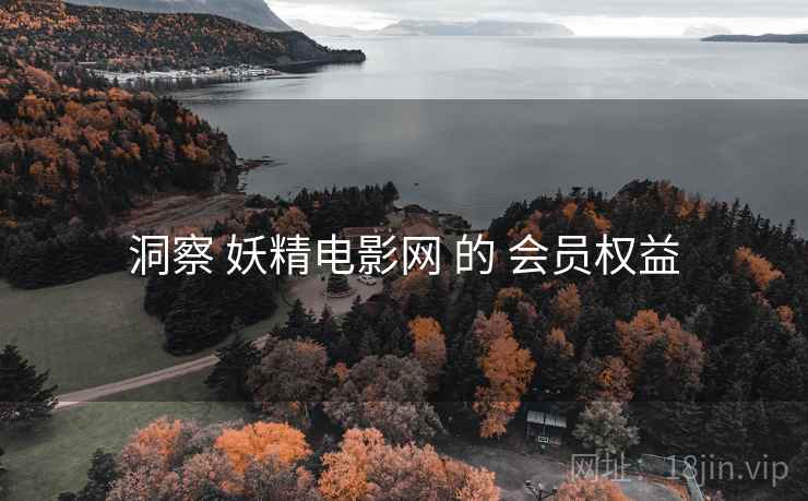 洞察 妖精电影网 的 会员权益