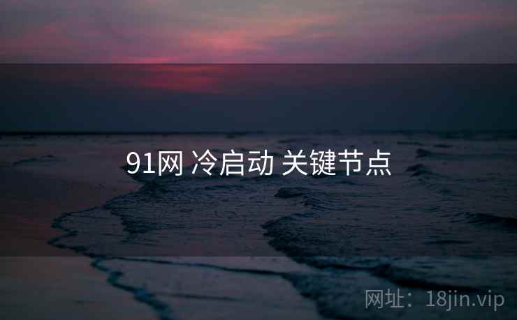 91网 冷启动 关键节点
