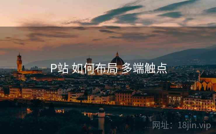 P站 如何布局 多端触点