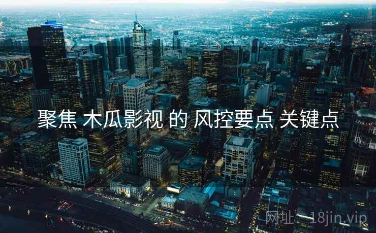 聚焦 木瓜影视 的 风控要点 关键点