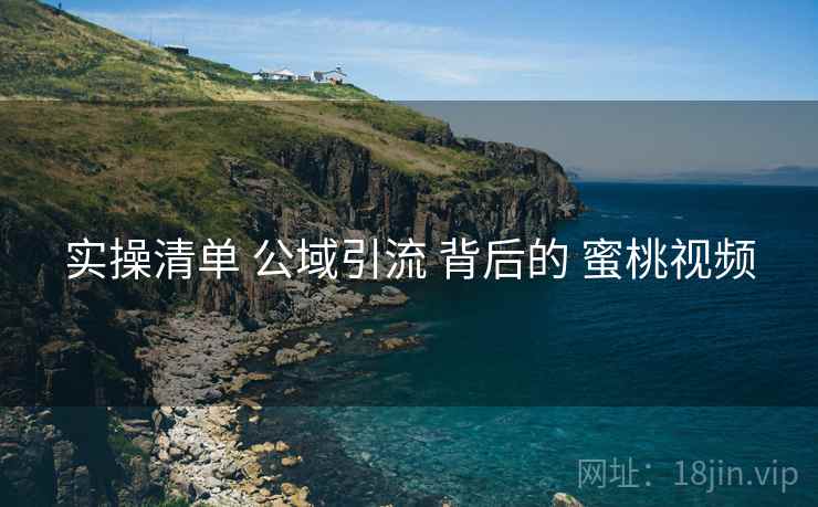 实操清单 公域引流 背后的 蜜桃视频
