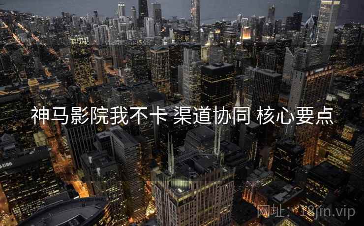 神马影院我不卡 渠道协同 核心要点