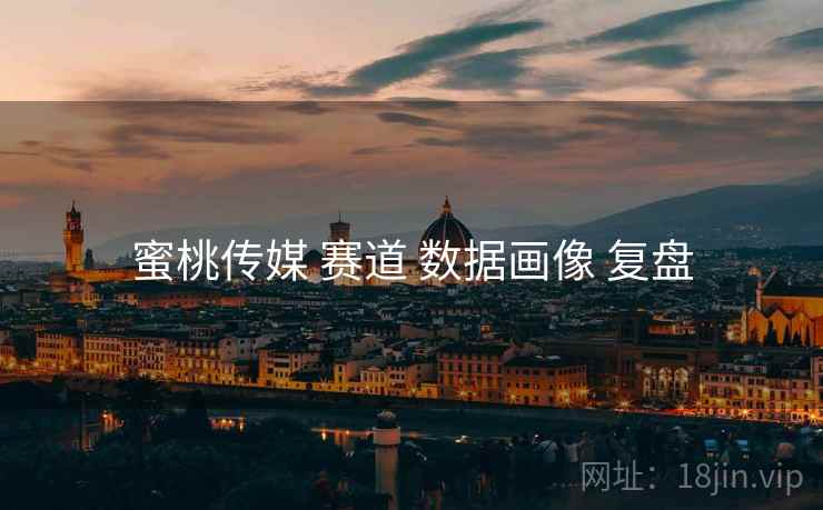 蜜桃传媒 赛道 数据画像 复盘